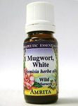 Amrita Aromatherapy - Mugwort (White) Essential Oil