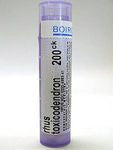 Boiron - Rhus toxicodendron 200CK