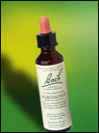 Bach Flower - Agrimony Flower Essence