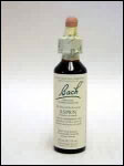 Bach Flower - Aspen Flower Essence