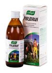 Bioforce USA - Molkosan