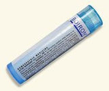 Boiron - Calcarea carbonica 1M