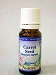 Amrita Aromatherapy - Carrot Seed Essential Oil