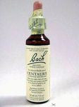 Bach Flower - Centaury Flower Essence