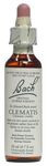 Bach Flower - Clematis Flower Essence