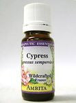 Amrita Aromatherapy - Cypress Essential Oil