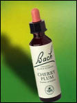 Bach Flower - Cherry Plum Flower Essence