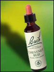 Bach Flower - Chestnut Bud Flower Essence