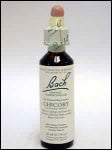 Bach Flower - Chicory Flower Essence