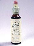 Bach Flower - Gentian Flower Essence