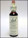 Bach Flower - Gorse Flower Essence