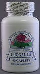 Ayush Herbs - Guggal Lip
