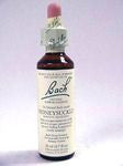 Bach Flower - Honeysuckle Flower Essence
