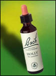 Bach Flower - Holly Flower Essence