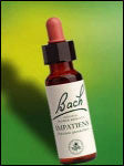 Bach Flower - Impatiens Flower Essence