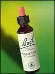 Bach Flower - Mimulus Flower Essence