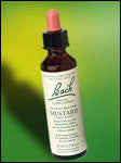 Bach Flower - Mustard Flower Essence