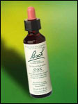 Bach Flower - Oak Flower Essence