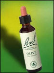 Bach Flower - Olive Flower Essence