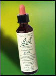 Bach Flower - Pine Flower Essence