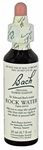 Bach Flower - Rock Water Flower Essence