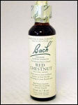 Bach Flower - Red Chestnut Flower Essence