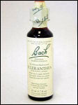 Bach Flower - Scleranthus Flower Essense