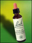 Bach Flower - Star of Bethlemhem Flower Essence