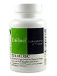 DaVinci Laboratories of Vermont - Turmeric 500 mg
