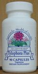 Ayush Herbs - Tylophora Plus