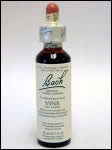 Bach Flower - Vine Flower Essence