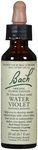 Bach Flower - Water Violet Flower Essence