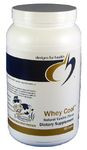 Designs for Health - Whey Cool Protein Natural Vanilla Flavor