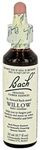 Bach Flower - Willow Flower Essence