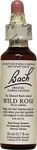 Bach Flower - Wild Rose Flower Essence