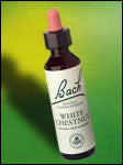 Bach Flower - White Chestnut Flower Essence